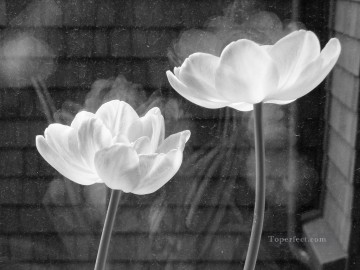 En blanco y negro Painting - xsh498 flores en blanco y negro